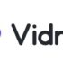 Allavsoft Video Downloader Review